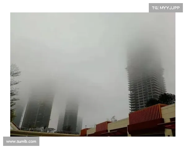 雾霾迷城:净化都市的征途 雾霾迷城:净化都市的征途